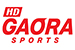 HD GAORA SPORTS