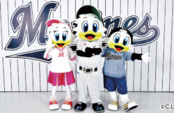 MARINES FREAKS （マリーンズフリークス）
